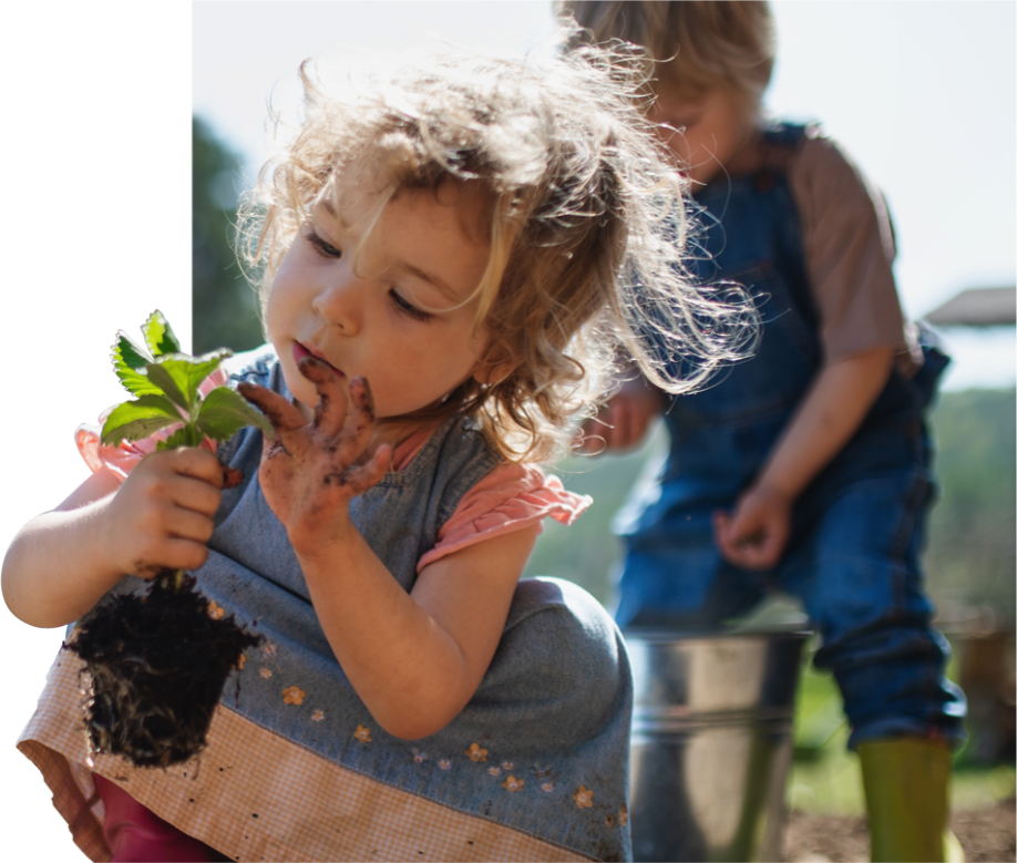 Planet Friendly School