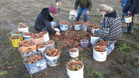 From Field to Table