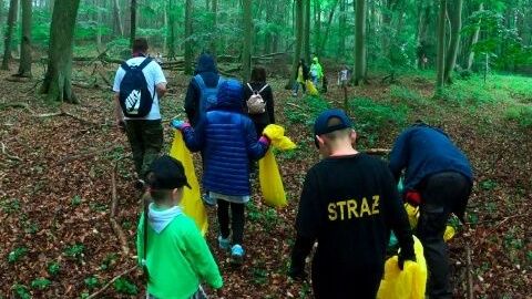 Più vicino al bosco