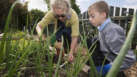 Growing at Greenfields Community School