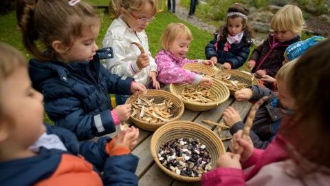 Miljøvenlige skolehaver